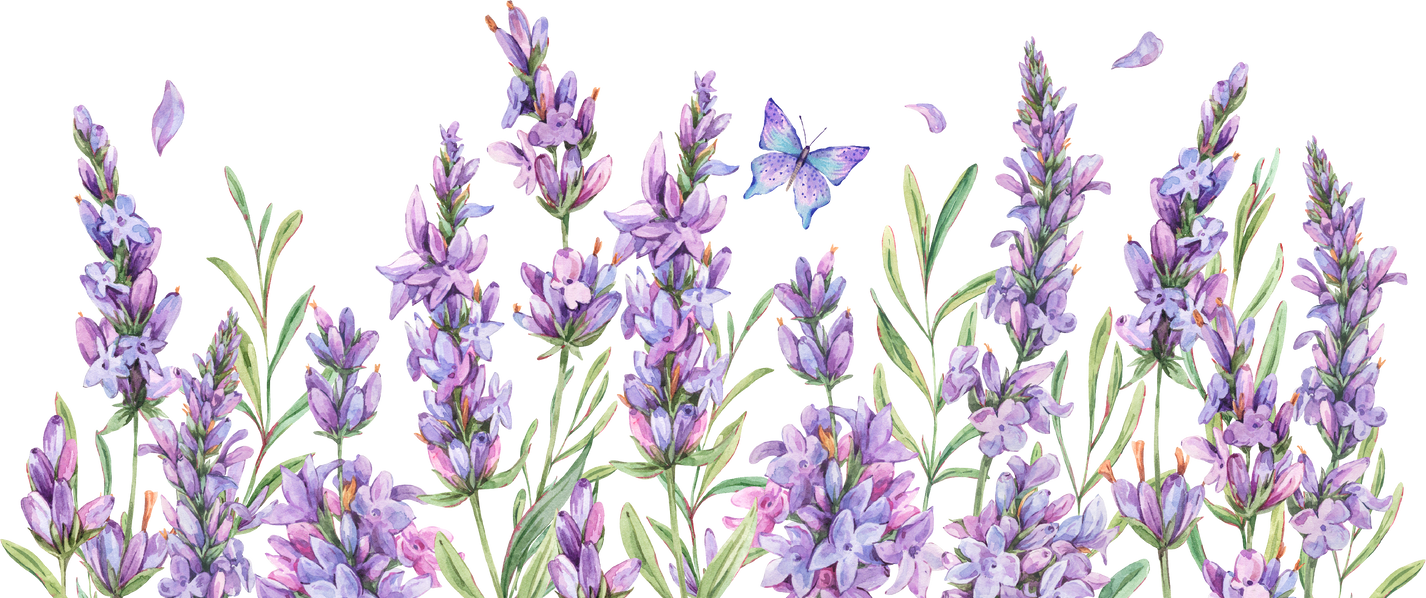 Watercolor lavender summer flowers